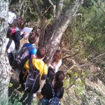 Alla ricerca dei licheni sul Monte Soratte